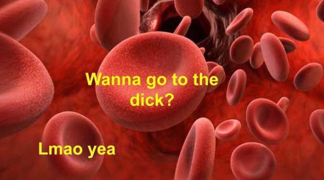 The meme is a humorous image of a blood cell with a question mark and the text "Wanna go for a blood transfusion?" and "In your veins I'd be... The. ...long. ...of. ...it. ...of. ...it."
